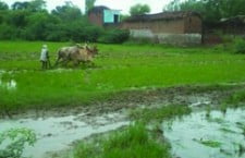 ईमारत गिरें के समस्या बतावै मा या किसान भी शामिल रहै