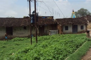 फसल होइगे चारा