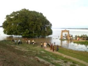 बाढ़ से डूबगे फसल