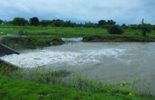 तिंदवारी माइनर के टूट पटरी, नहर का पानी होत बरबात