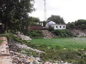 24-10-13 Taza pokha