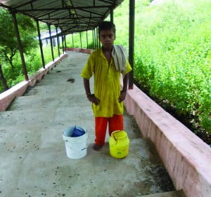 इनतान करत हैं पानी के व्यवस्था