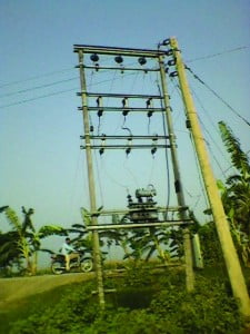 Photo-0313