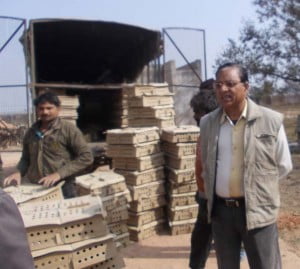डिब्बा लइके जात