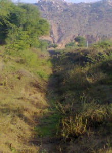nahar(1)