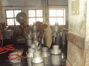 parag milk dairy