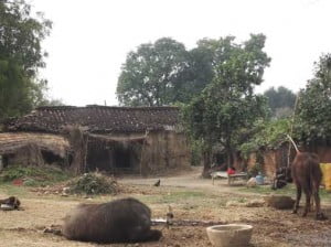 07-02-14 Gaav Singhpur