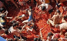 tomato holi