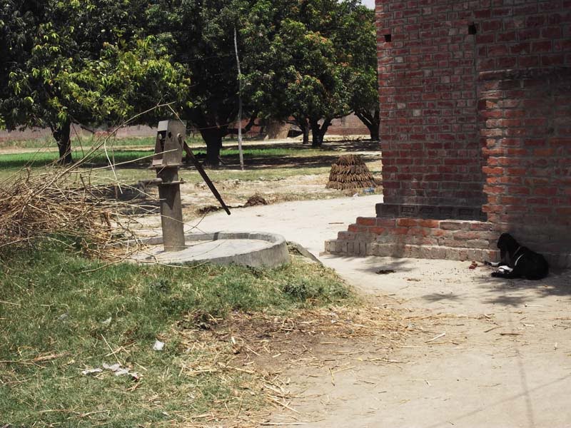 सूखल पड़ल हैण्डपम्प
